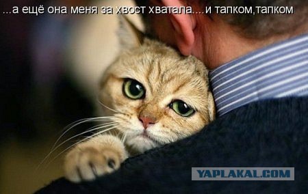Смешные картинки