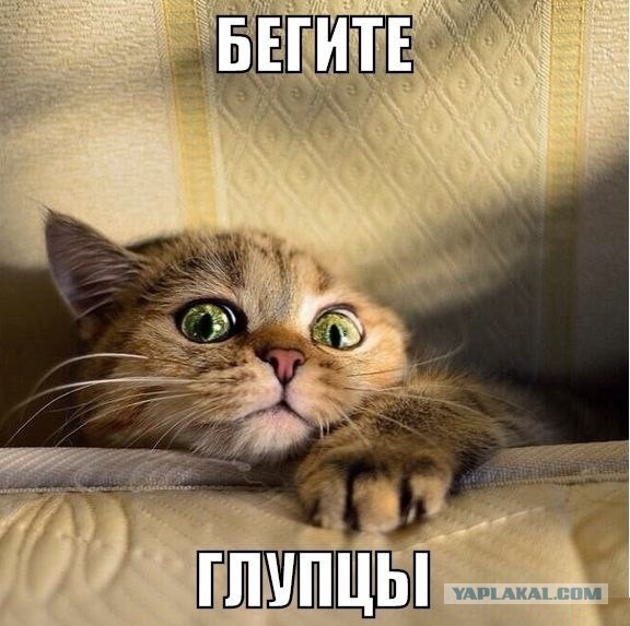 Как правильно встретить мужа с работы