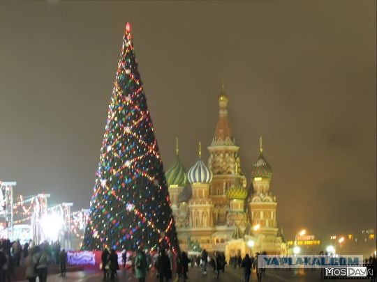 Центральная ёлка страны (Киев)