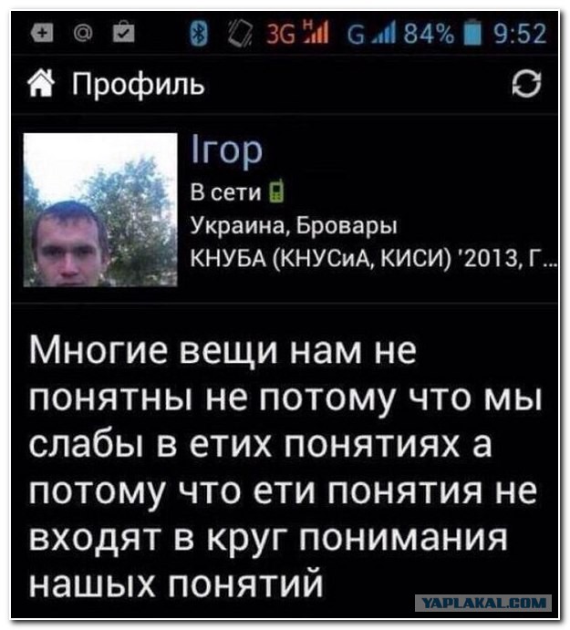 Смешные комментарии из социальных сетей