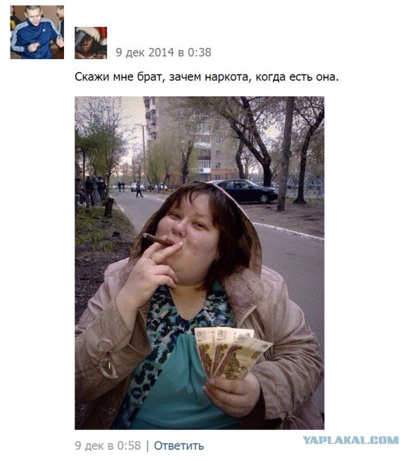 Люди пишут в соцсетях