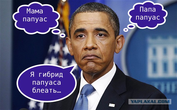 14 невероятных животных-гибрида
