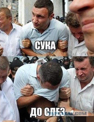 Переволновалась, Муму оппозиционерки