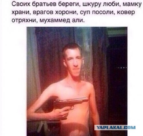 Смешные комментарии из социальных сетей