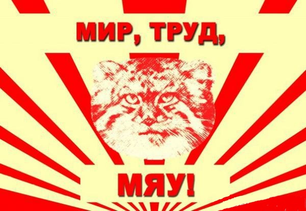 Валентинка 2