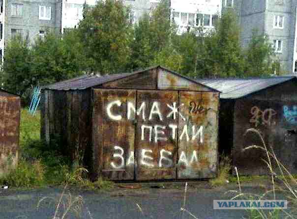 Немножко картинок
