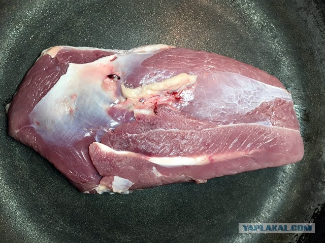 Коммунальные замУтки