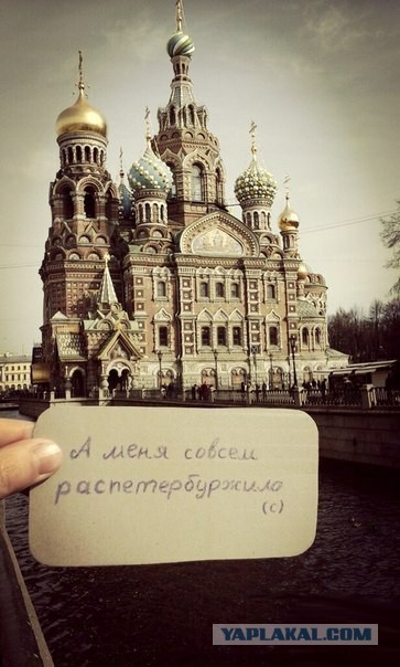 Тайгер Вудс в культурной столице