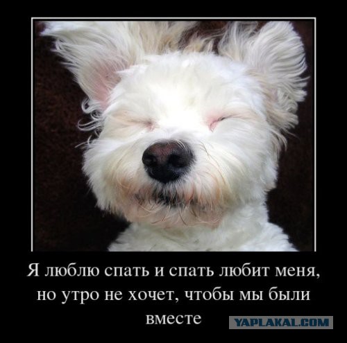 А давайте улыбнёмся