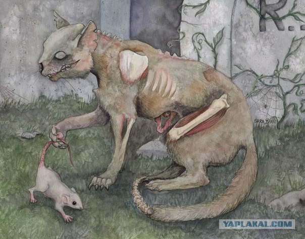 Картинки наркомании