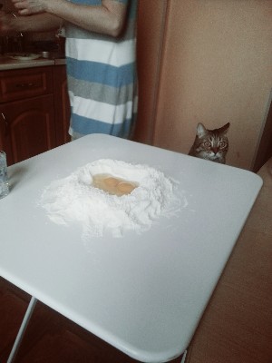 Котовторник