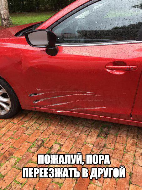 Подборка прикольных картинок