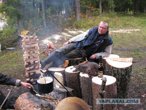 Веппский край, Южная тайга