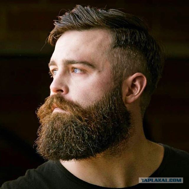 20 занимательных фактов о бороде
