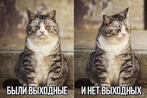 Подборка Картинок из сети