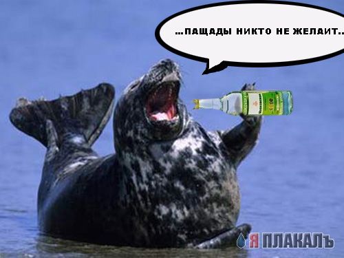 Уже да :) Ужо пятнецца...