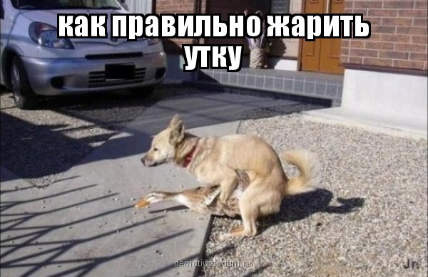 Веселые картинки