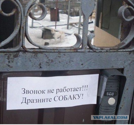Только в России