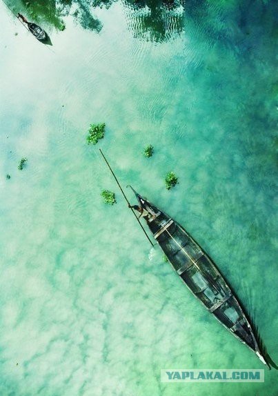 Подборка картинок 29.03.16