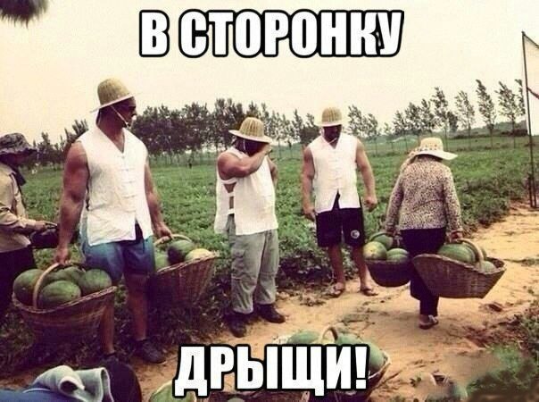 Интересные и веселые картинки