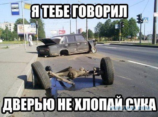 Интересные и веселые картинки