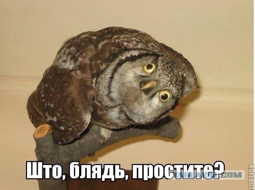 Сенсация! Надежда Савченко умерла! Ещё в феврале.