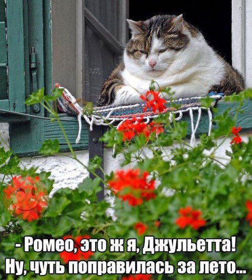 Фотограммы #да ты упоротый штоле? #немншк