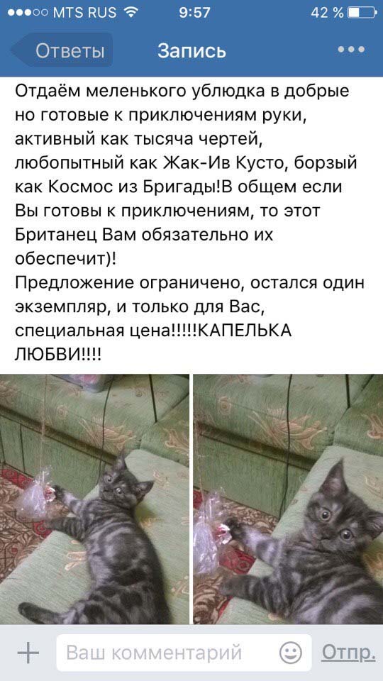 Смешные комментарии из социальных сетей 08.07.2016