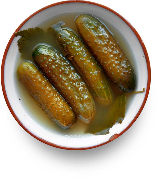 Юкка: уход и размножение