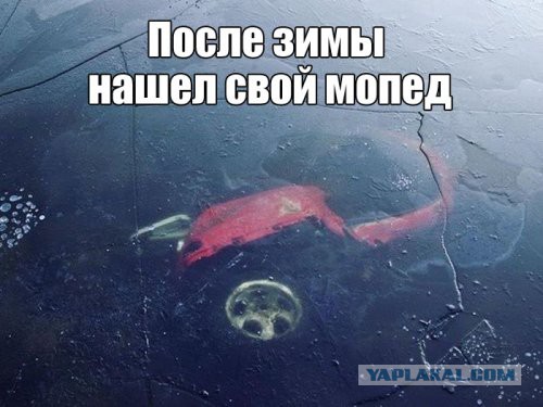 Трешак и вакханалия из соц. сетей