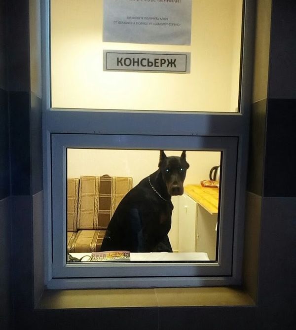 29 картинок