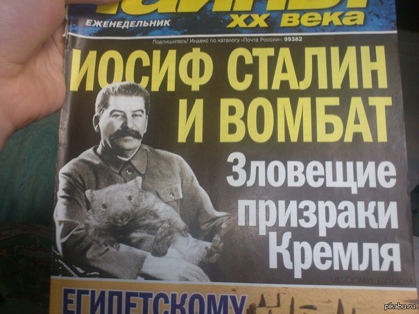 Пенсионерке выбили зубы в очереди к мощам Николая Чудотворца