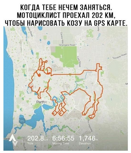 Всякая всячина