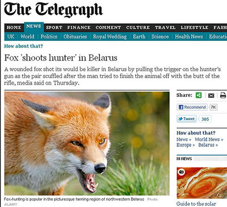 В Белоруссии лиса подстрелила охотника