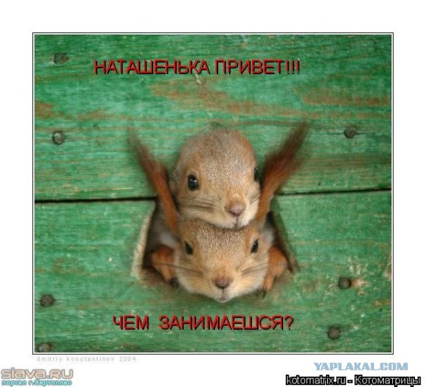 Белки
