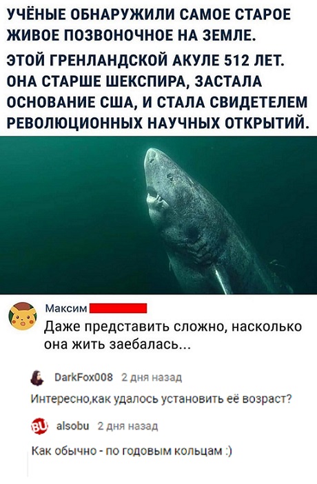 Прикольные комментарии и высказывания из Сети