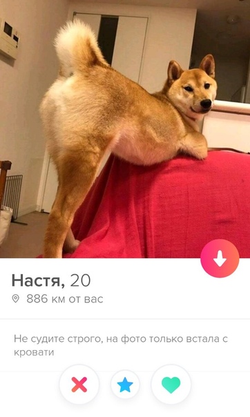 Tinder-паноптикум