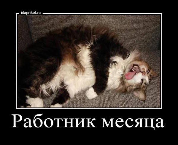 Прикольные картинки работник месяца