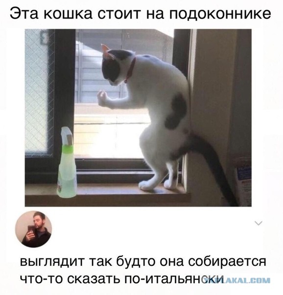 Прикольные комментарии и высказывания из соцсетей 06.01.20