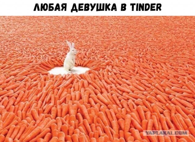 Почему я не завожу любовницу
