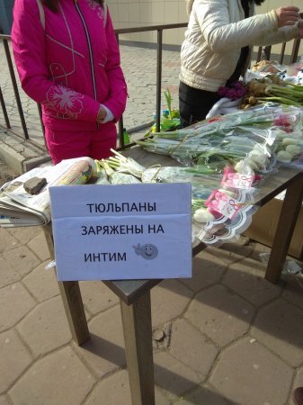 С Восьмым Арта!