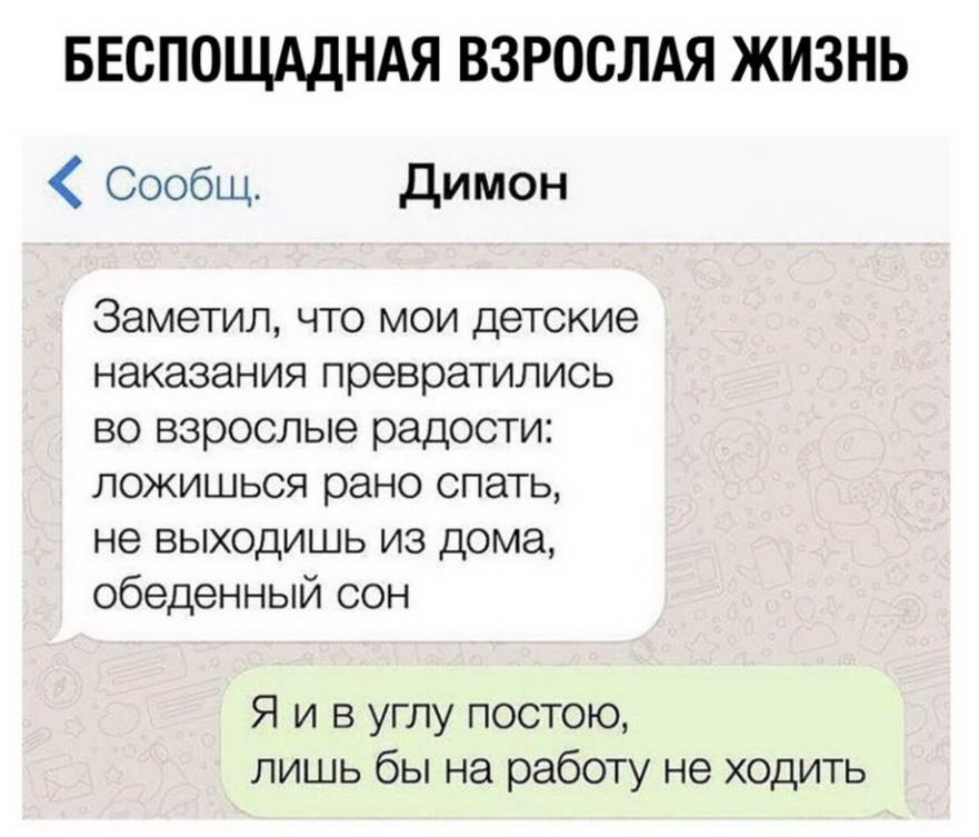 14253970.jpg