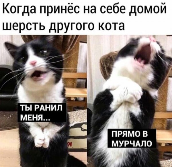 Немного картинок для настроения 27.06.20