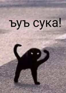 Я принял присягу государства НАТО
