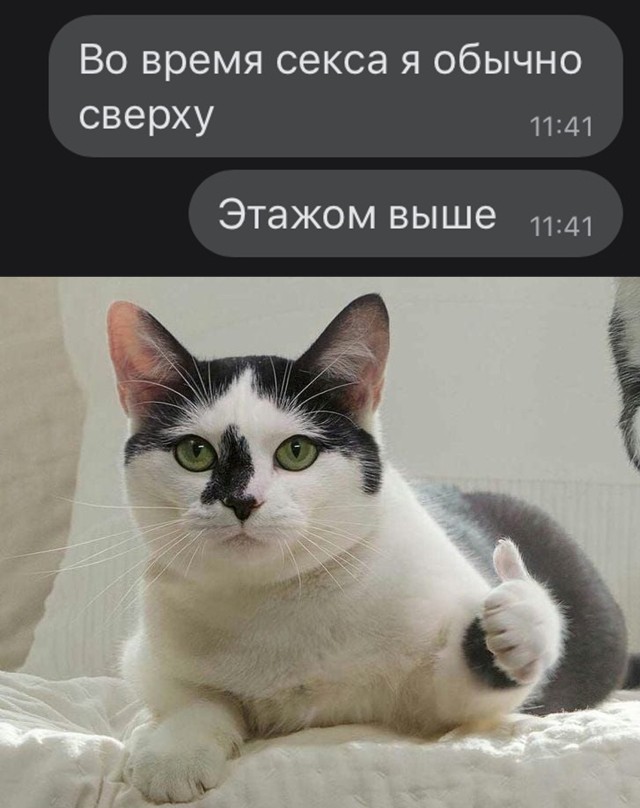 Пятница. И немного слегка пошлых картинок с надписями и без 16+ (11.12)