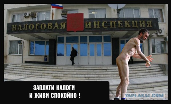 Жабы на тему странного мужика