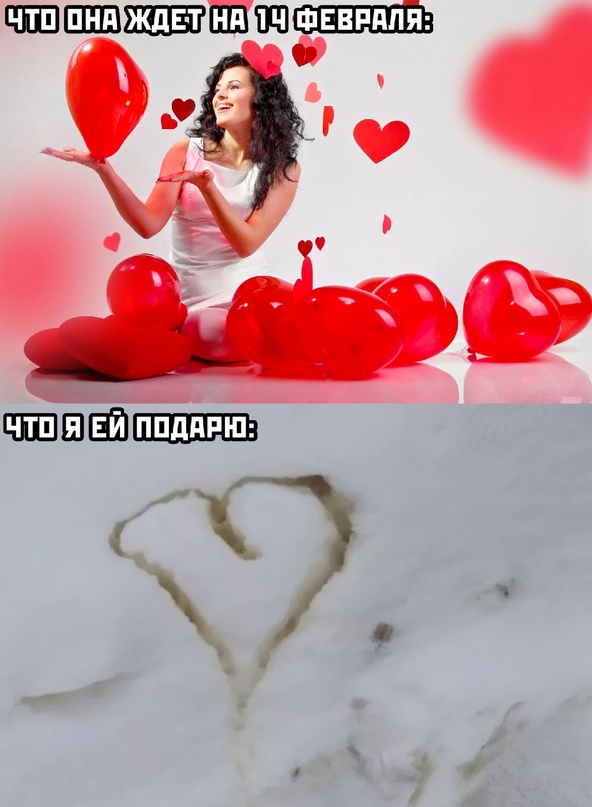 Весёлый полтишок 14.02