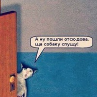 Женское насилие в семье