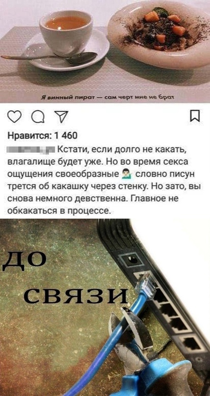 Весёлый полтишок 14.11