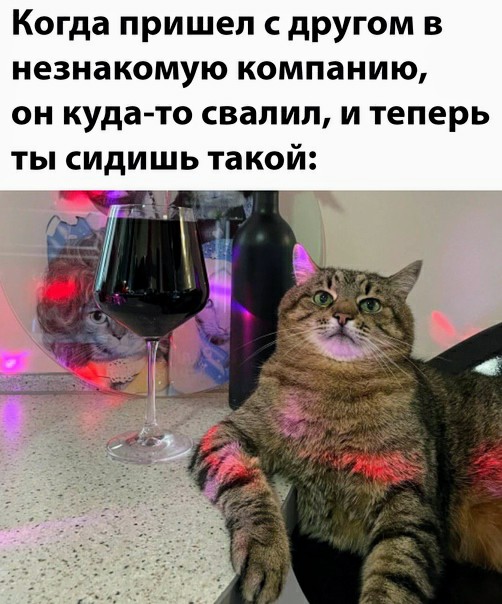 Картинки и мемы для настроения 11.11.2021